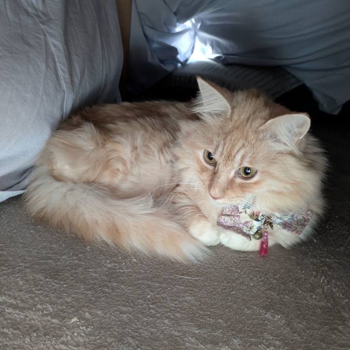 6fdd2469 4d43 4477 a669 9dca4393d206 1766470998936