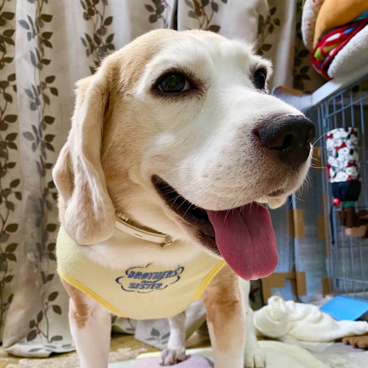 6fdd59ce bbcc 4733 8265 813b27b98f8a 1630384199003