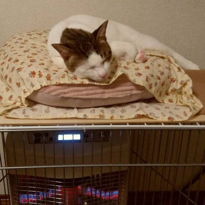 6fdd6197 ef83 4ee0 8a9a 16758a9f10ef 1668598807289