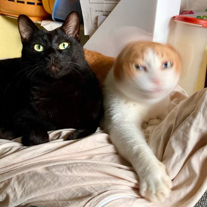 6fdda0cc 3f96 4511 8d4a 6334d064464b 1695341414674