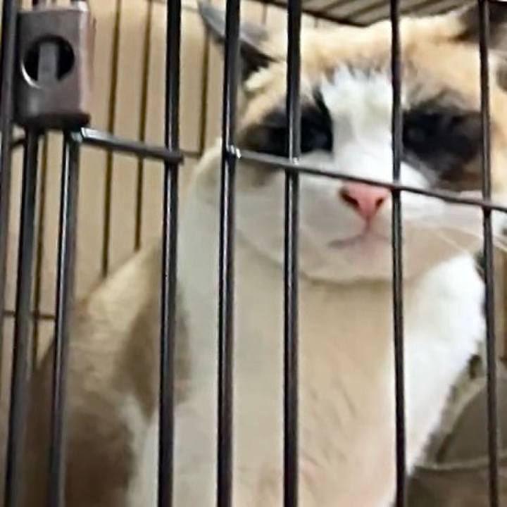 6fde0c3a 6975 475e ad20 916f9e8efba1 1736991992929