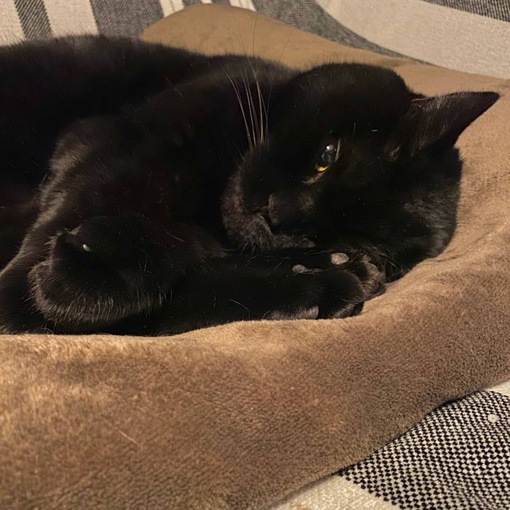 6fde5738 b8be 4488 9042 de9ecfe15d98 1772543727865