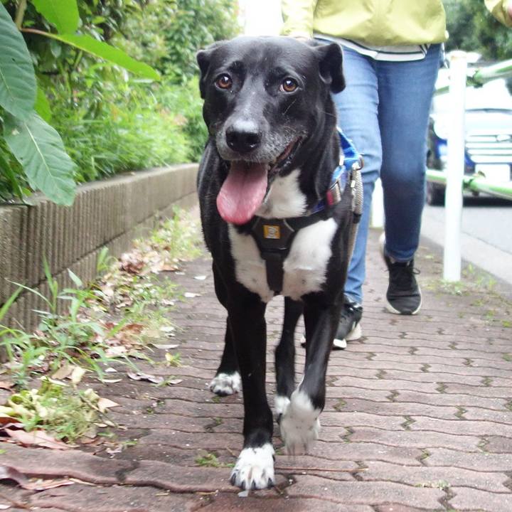 6fde6b9a e3f0 4fbe 981b 5096e6a5bc22 1655291679271