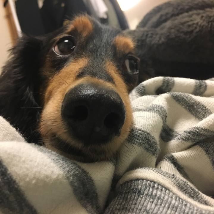 6fde6e39 3bb7 4da5 9fcf 6dcba6aa5932 1507733475933