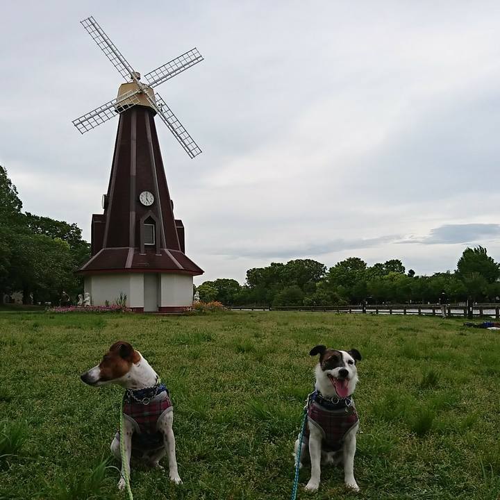 6fde8bd3 ad51 4def ab96 a9ce6ace1c30 1589099881251