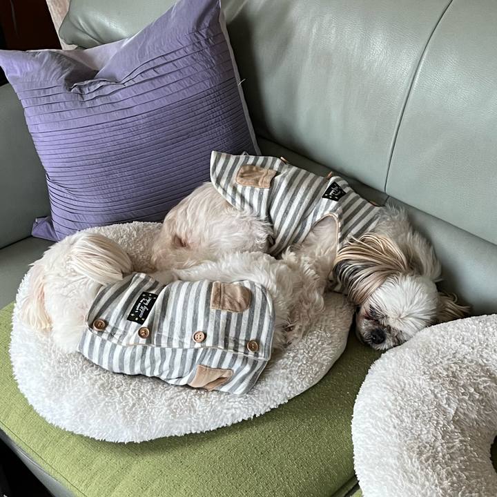 6fdeb04d 8718 453a b454 c3ac0ce37f87 1731647882127