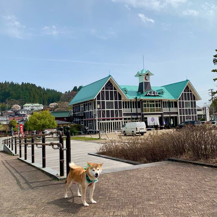 6fdeded7 10db 450e a739 e44248937490 1617355099521