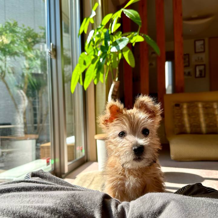 6fdef9c3 c5c6 4a54 86d0 cccbb410e0b1 1764073242418