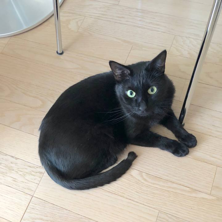 6fdf15f3 2d85 42bf bb30 767fac11a9a7 1517833178215