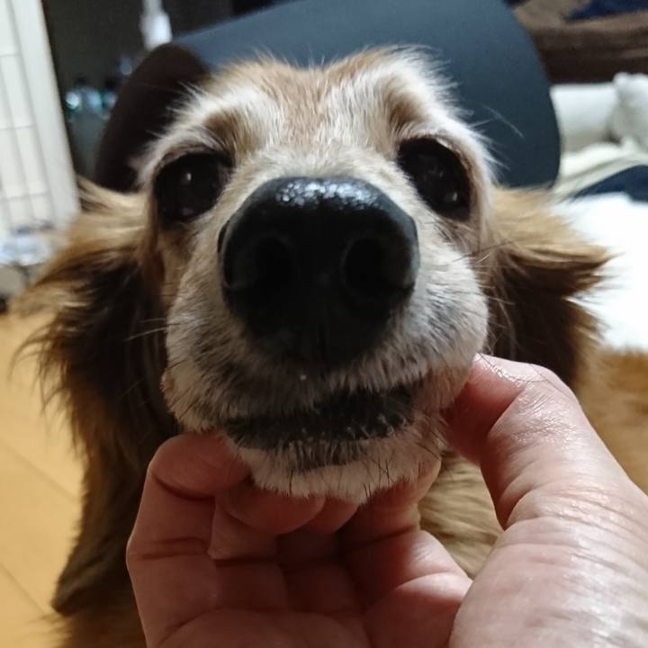 6fdf229f 0cd4 4d70 8032 2e53b752df95 1633280103148