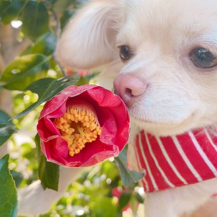 6fdf7645 21d3 43a2 b530 344ef3e5799d 1616058719969