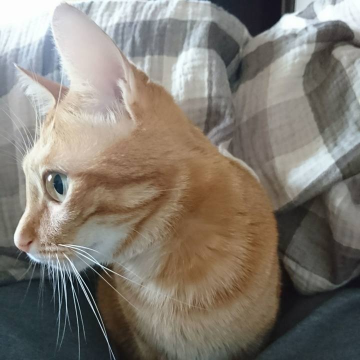 6fdf83dc 3ad9 4af6 982f df40680e5b58 1544412345613