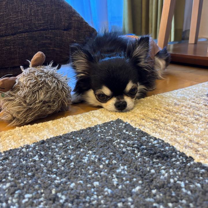 6fdf9678 db2b 41f3 abb4 ccdf2f5082d4 1745770487512