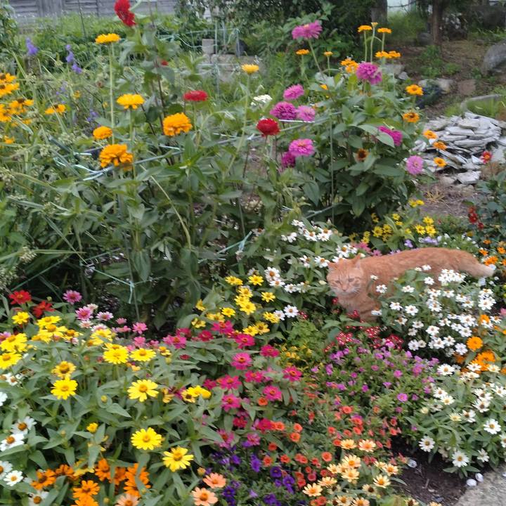 6fdfafc5 4aa5 4f81 8e03 7153bc266ef1 1721296548125