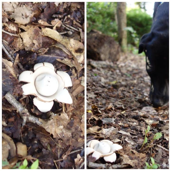 6fdfef3c 7afd 47ab 97be faec41560ee7 1603500250386