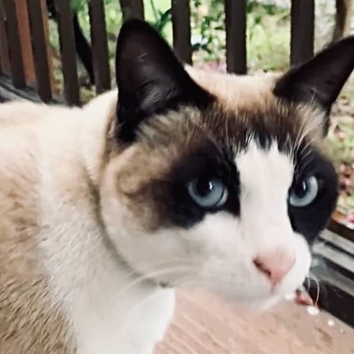 6fe020e1 b3ea 401b 9e88 1e0c48f6fcee 1742010744055