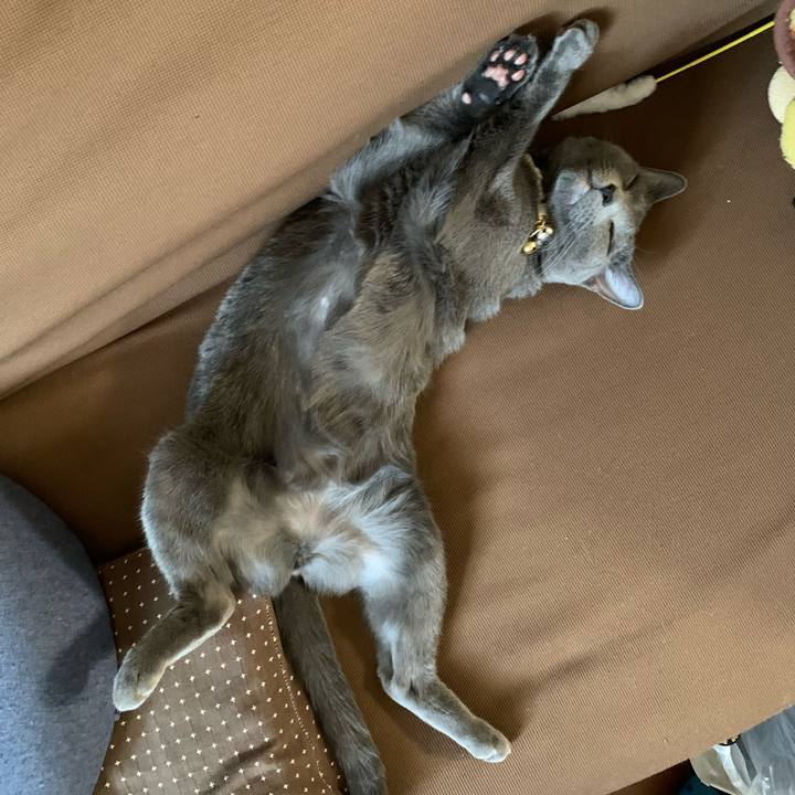 6fe028d7 6ff1 41f2 8ae3 8068cca0e214 1653798837656