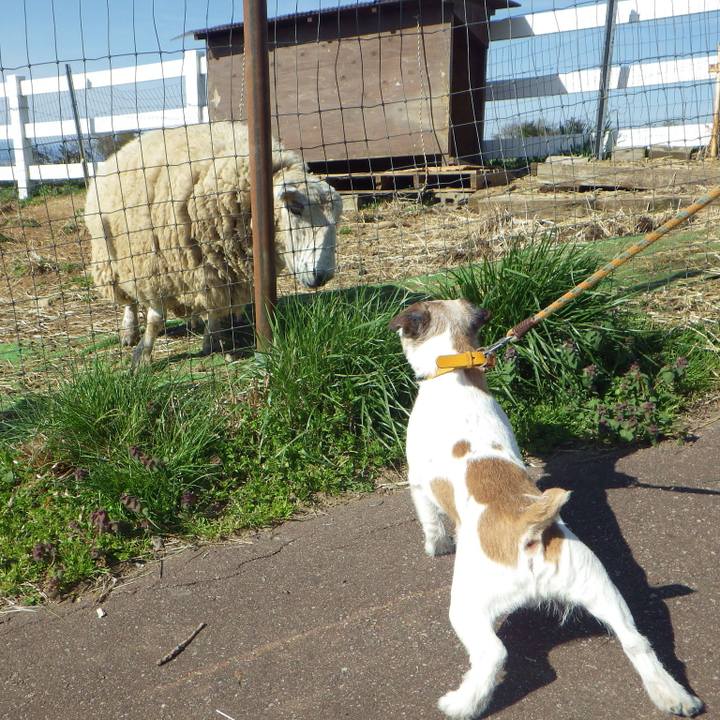 6fe05129 fb9c 486f a955 e7e354537bb3 1555829241383