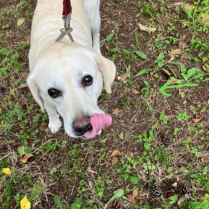 6fe07eaa 76ac 433e 98a0 b4d0edfea4d8 1689203861060