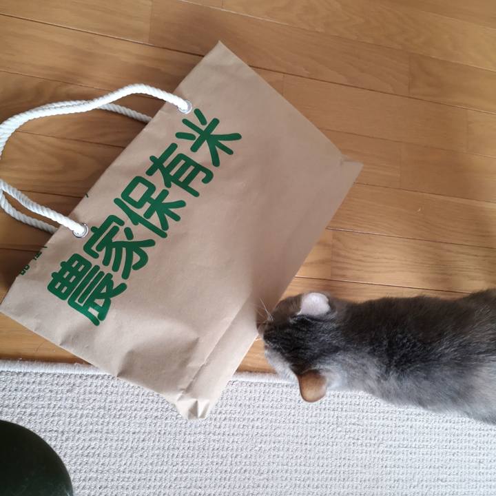 6fe0a526 87fb 4cb3 b047 5c917b897ba8 1556448269086