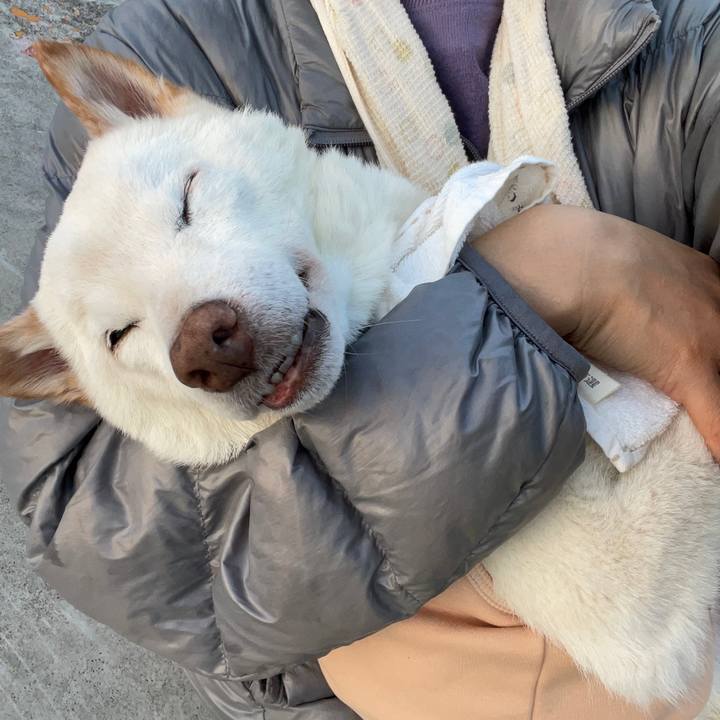 6fe0acd6 0b46 4468 81ef 49a5f82e038c 1668856736950