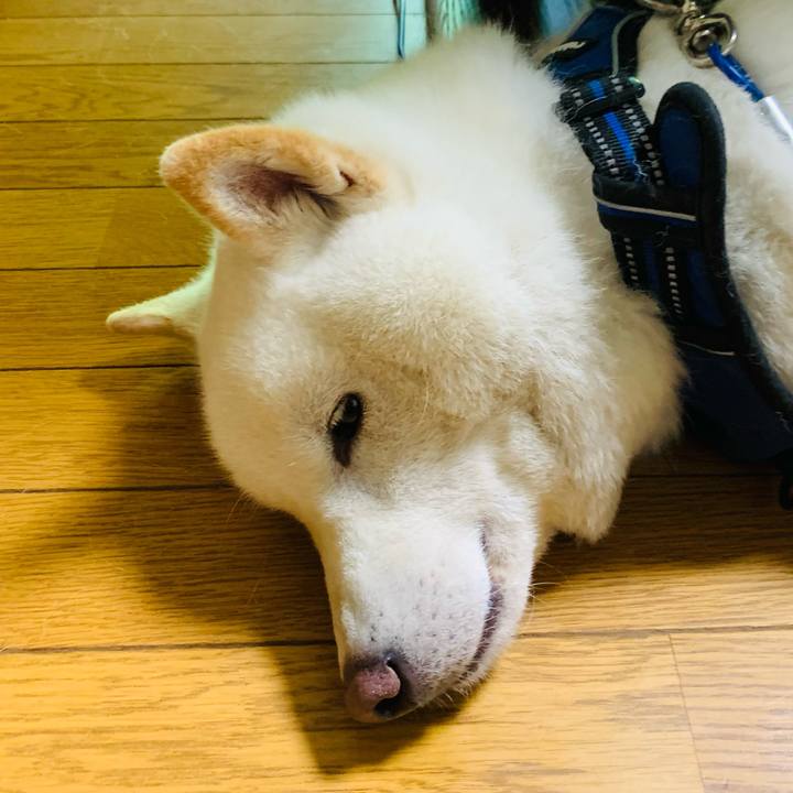 6fe0aee1 3161 466d bce9 cf9c459c61b5 1652996048926