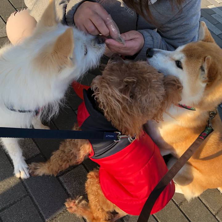 6fe106b7 60d2 42ce 90b7 9a2d8fee642a 1617935800197