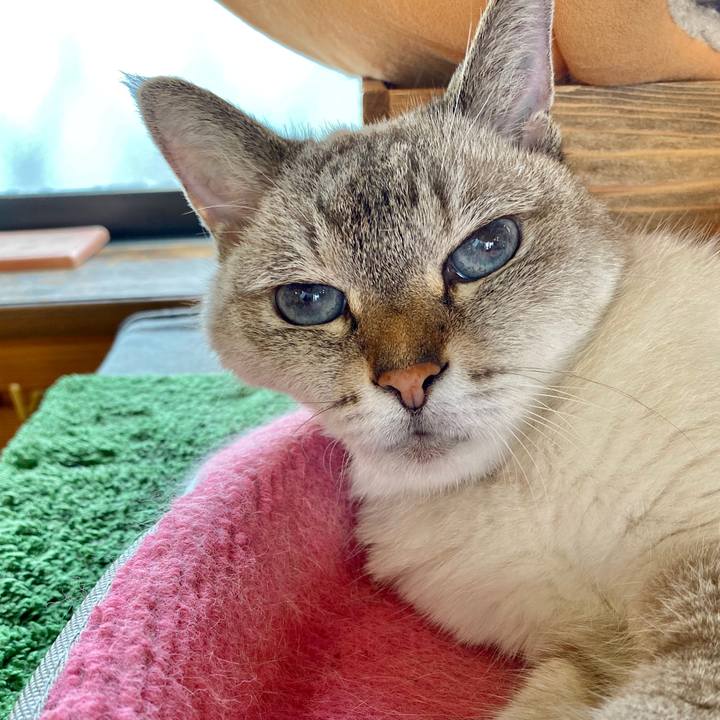 6fe129f9 2a4c 46d1 8a0a 549a5f805929 1596699956953