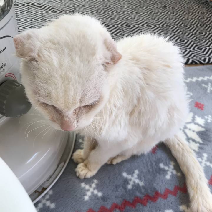 6fe14073 a6aa 40d9 a649 eb495e489ea4 1552454684476