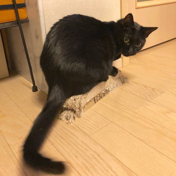 6fe177f8 fca1 4424 8edf f74dca7ce24f 1580915764237