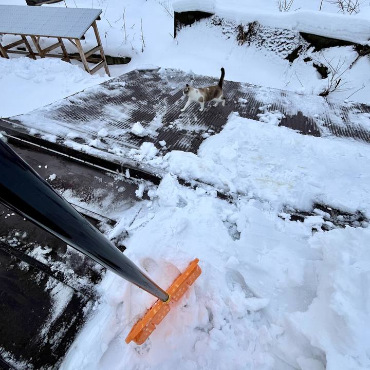 6fe1cdd3 decd 4af4 843b fc7f71a54235 1768022100895