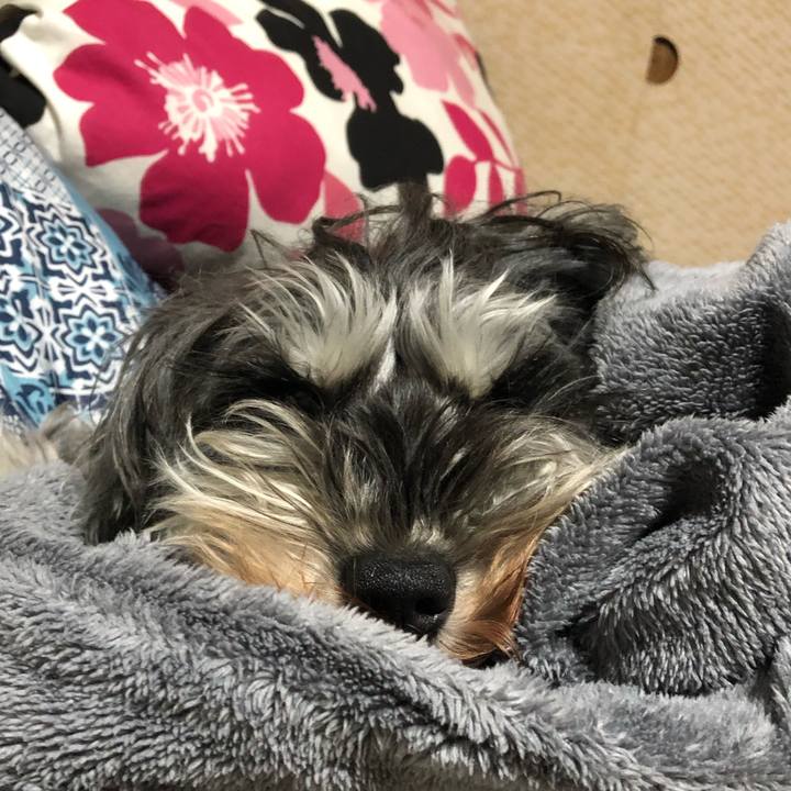 6fe1d7f5 6c26 48dd 98a4 596b20bc2e0f 1549285226755