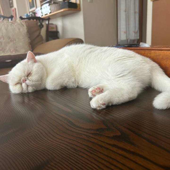 6fe1edbf 29da 4e3a a1fa ae0765d14635 1691923460123