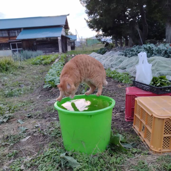 6fe1fc57 a12b 408f 85bb 1e26c637cb4c 1696409683311