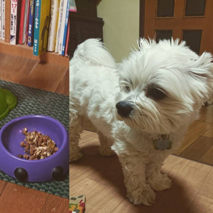 6fe205df 8256 4e6f 9d27 77d3ad90fb37 1580995248067