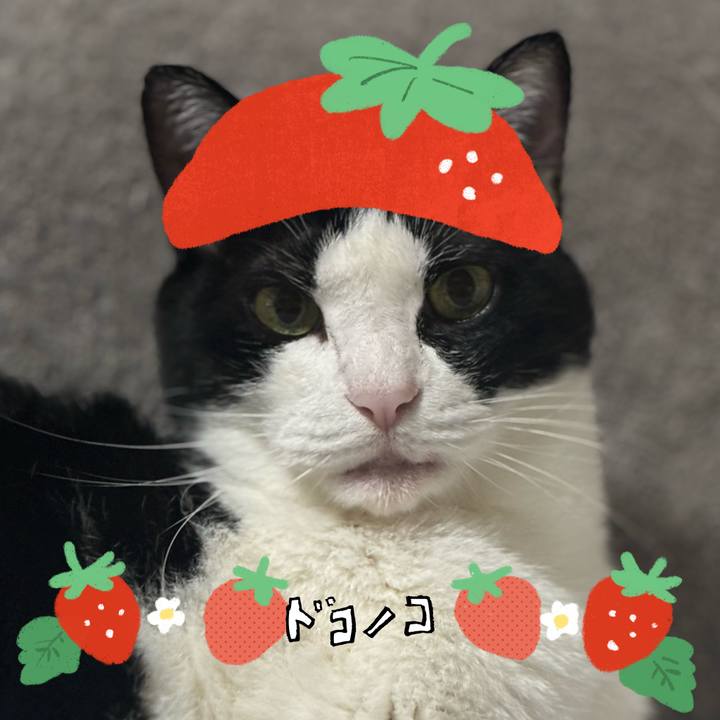 6fe22581 f698 4cd4 82a2 aef5aec45769 1775656241936