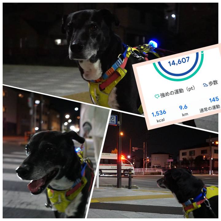 6fe2725b e809 433d 8926 f9ffc5d59f12 1774184904104