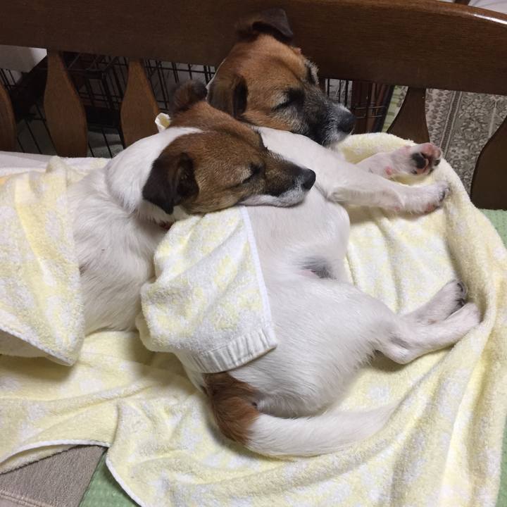 6fe2bad8 e9e6 419f b31e 86beaef044d7 1526741797842