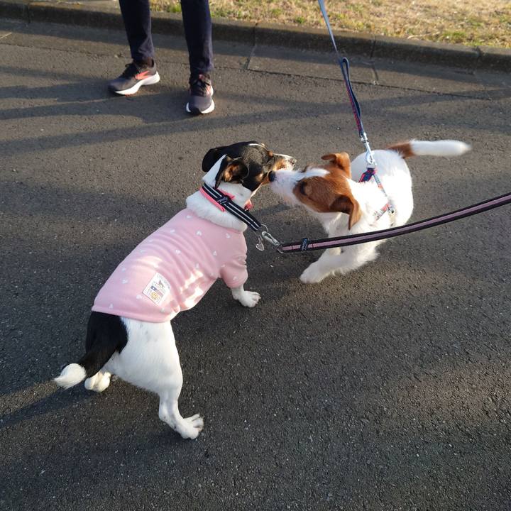 6fe2c6fb 2e25 4751 a4fa f867106e863a 1646575347798