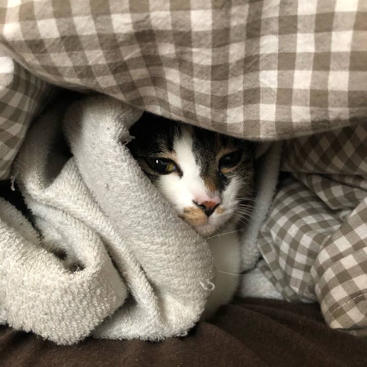 6fe2df7d c2b7 466a bd58 91533d07a49d 1518398135573