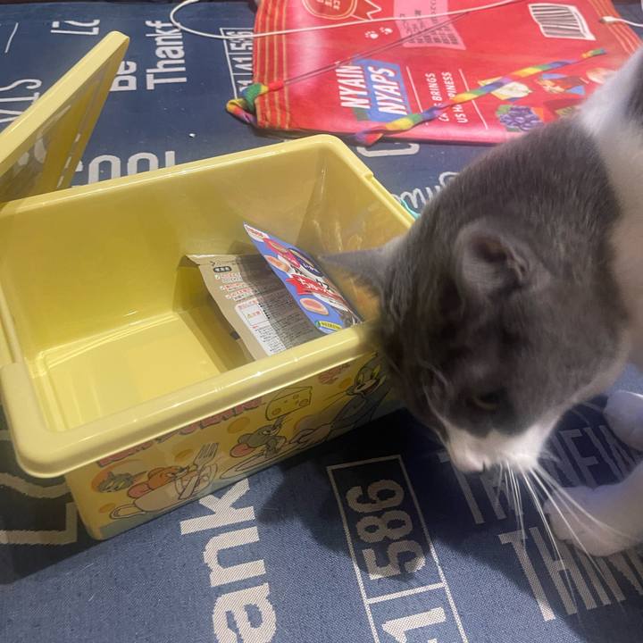 6fe37b01 49df 4c2b 9907 140afcf65152 1724513894592