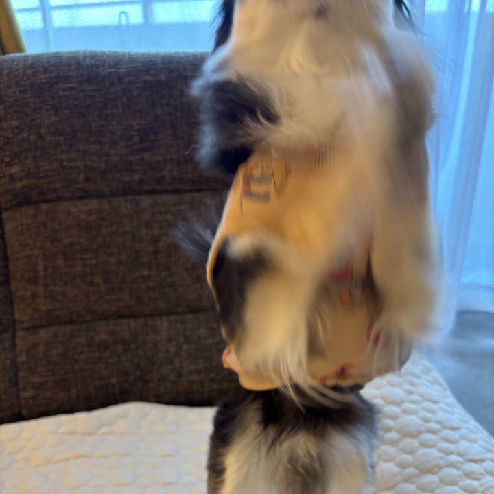 6fe3af24 8641 4478 8c05 a15d01358836 1741449922269