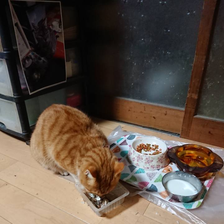 6fe3e181 4dda 4836 a288 0667ee481e19 1605990386805