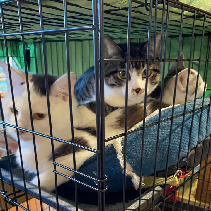 6fe41e1c 8a59 4d75 8bb2 658f48d910e2 1701936808694