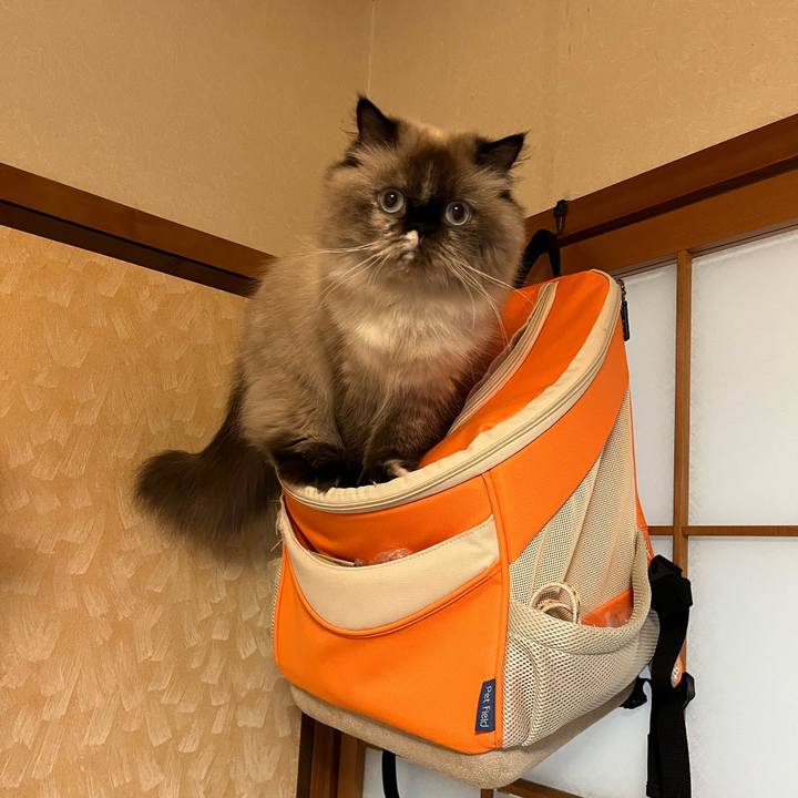 6fe4443b 735a 44dc 80fe f89b8ea0f7c0 1667400675792