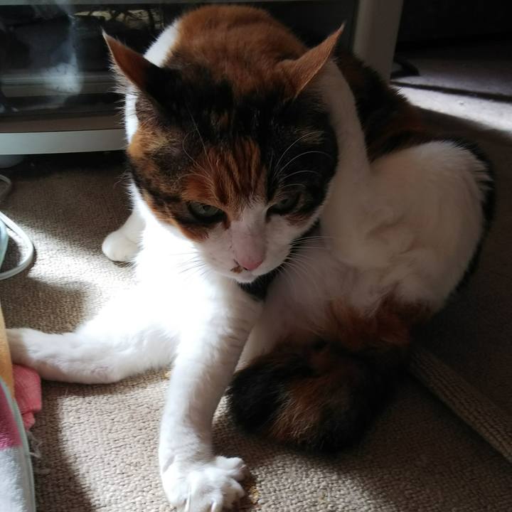 6fe44cd4 bb8d 45e0 b11b f0de4e4511ed 1540085331802