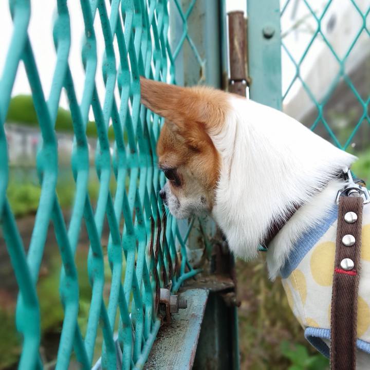 6fe44fad 7cb1 40fa 92d7 4268f2353d46 1656628109901