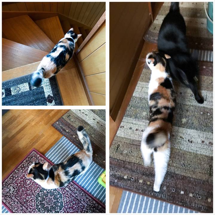 6fe47b29 b66d 46d3 b43c 05d38d0b1050 1509382281135