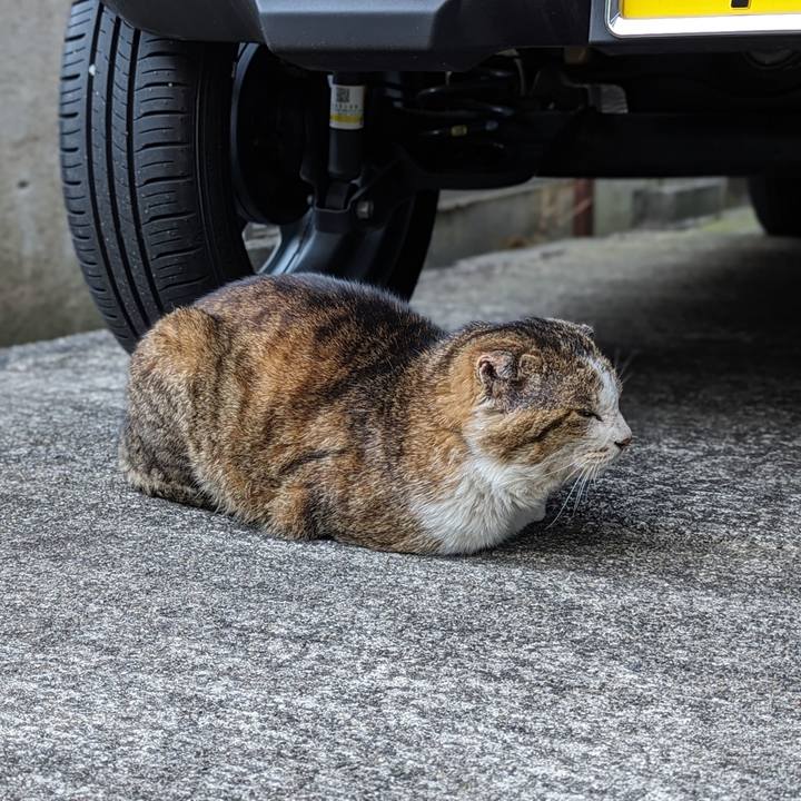 6fe48d50 12e4 4d36 978d 83fff3b55585 1711881015813