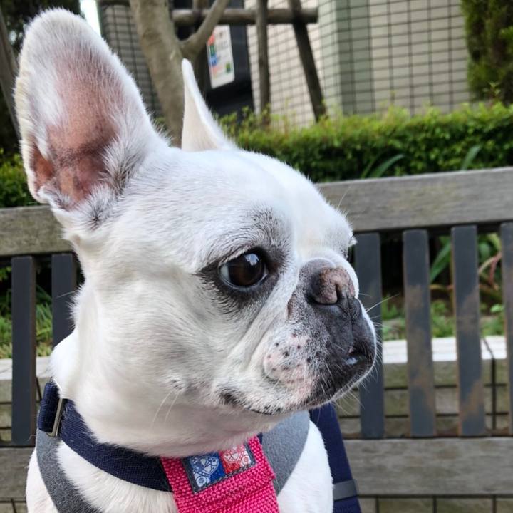 6fe4bd94 8fa1 459e 98d5 3854281e8aeb 1589608260064